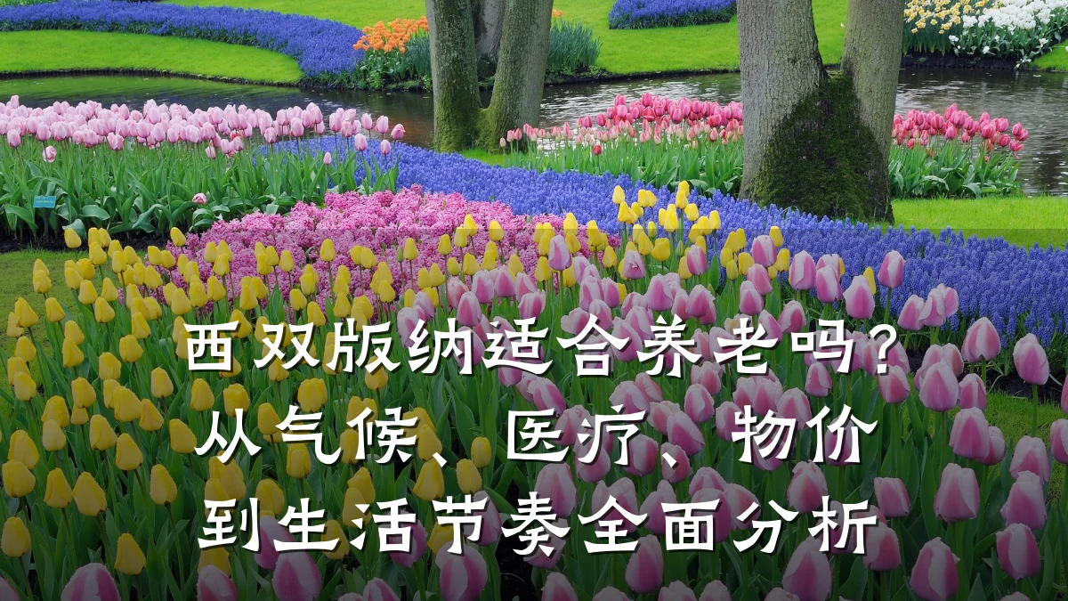 西双版纳适合养老吗?从气候、医疗、物价到生活节奏全面分析