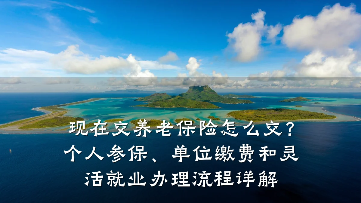 现在交养老保险怎么交？个人参保、单位缴费和灵活就业办理流程详解