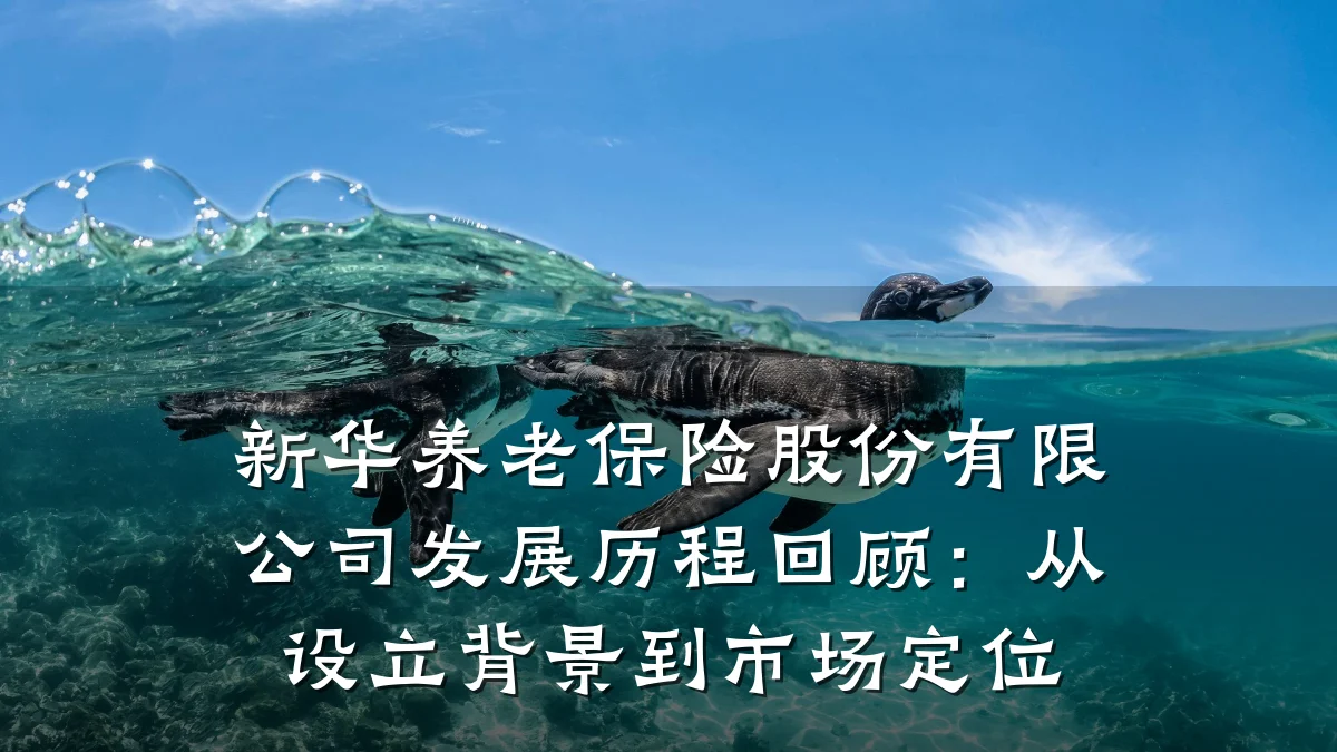新华养老保险股份有限公司发展历程回顾:从设立背景到市场定位
