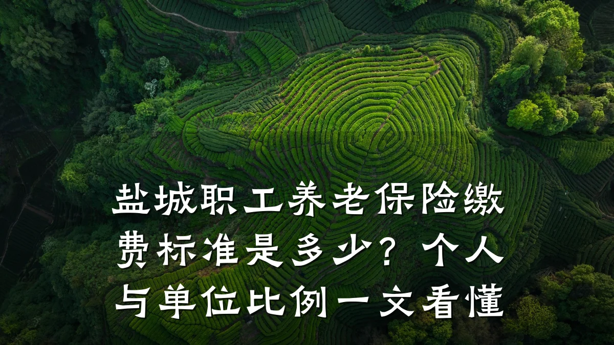 盐城职工养老保险缴费标准是多少?个人与单位比例一文看懂