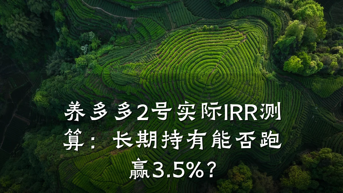 养多多2号实际IRR测算:长期持有能否跑赢3.5%?
