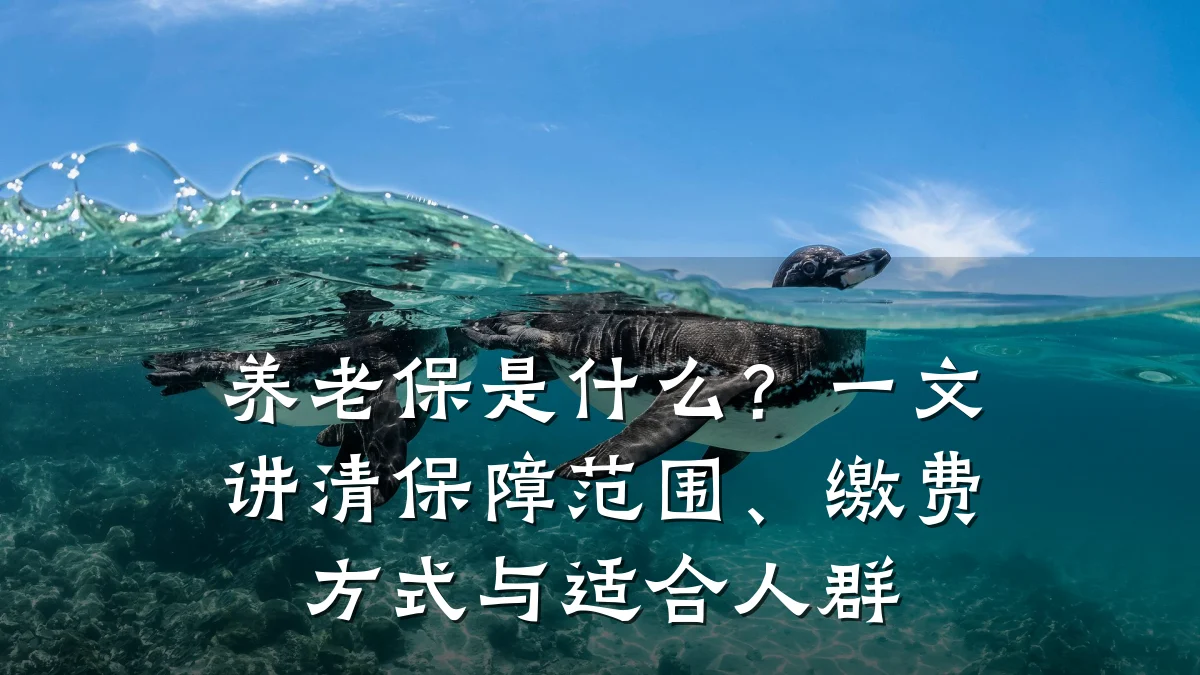 养老保是什么?一文讲清保障范围、缴费方式与适合人群