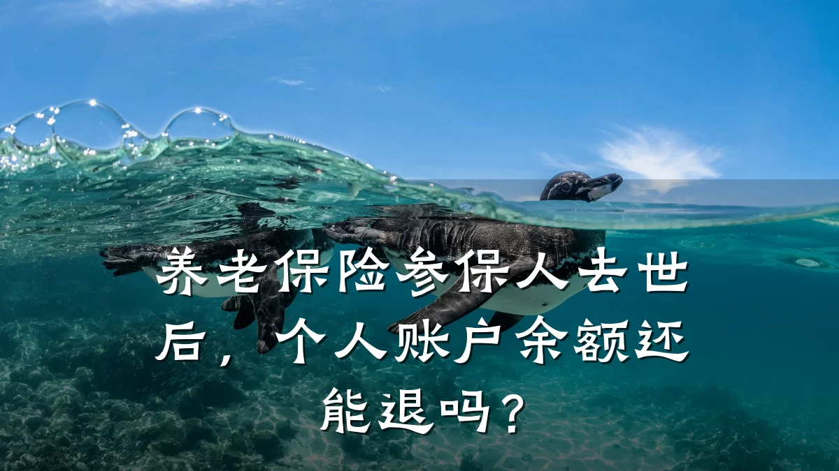 养老保险参保人去世后,个人账户余额还能退吗?