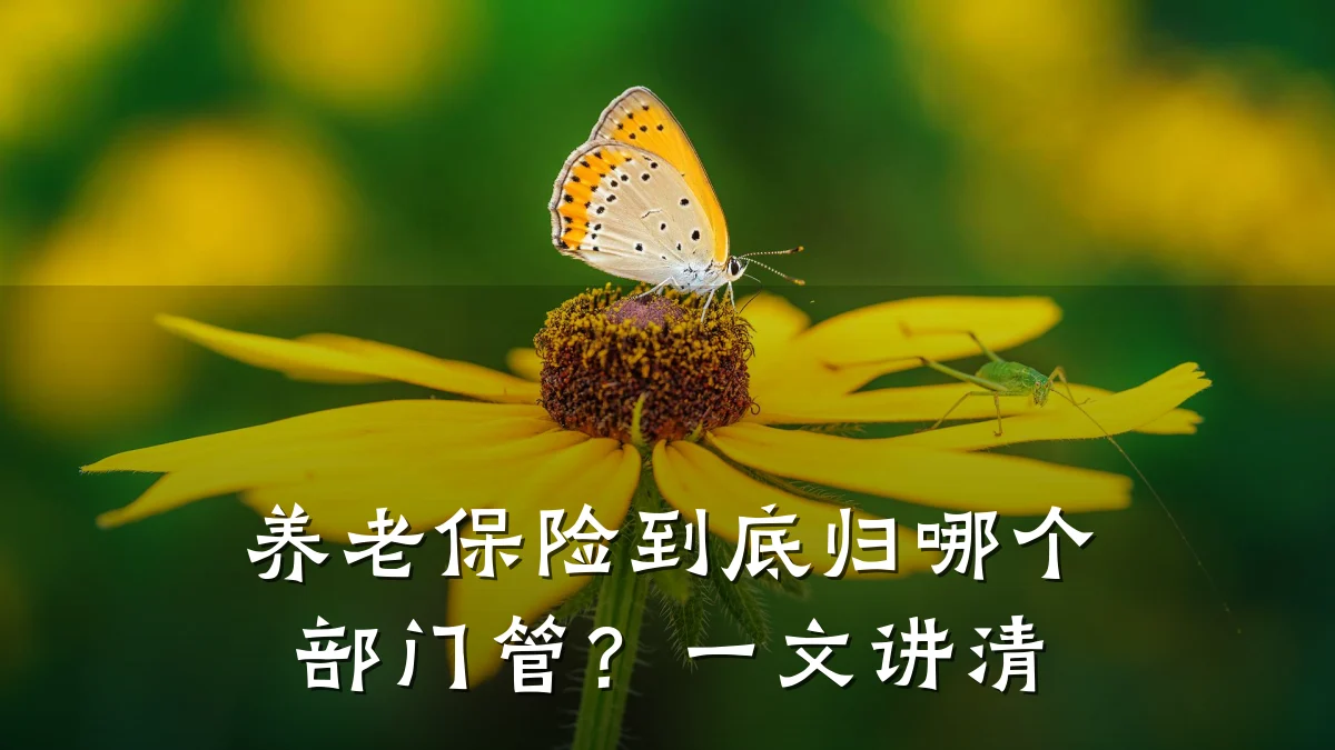 养老保险到底归哪个部门管?一文讲清
