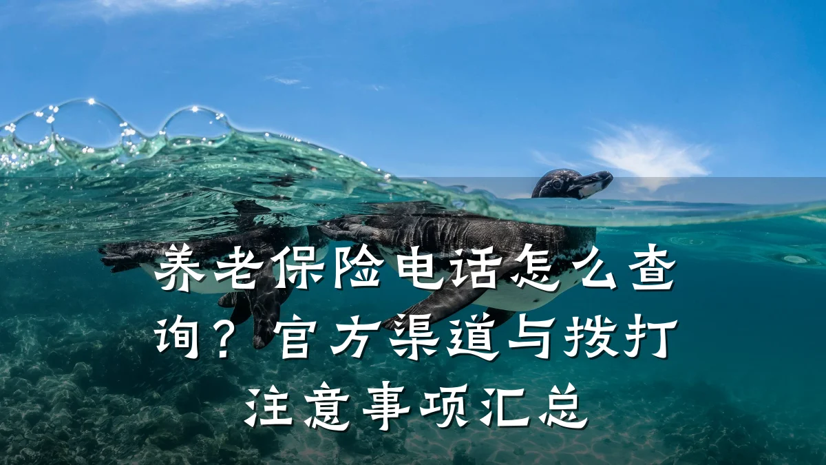 养老保险电话怎么查询?官方渠道与拨打注意事项汇总