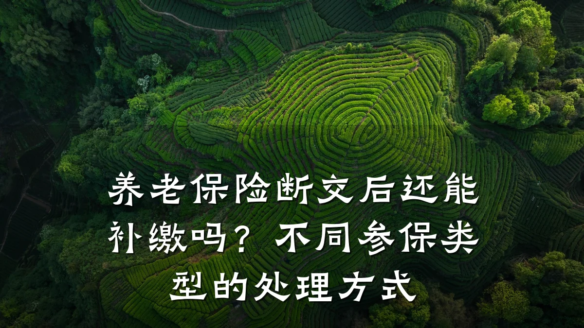 养老保险断交后还能补缴吗?不同参保类型的处理方式