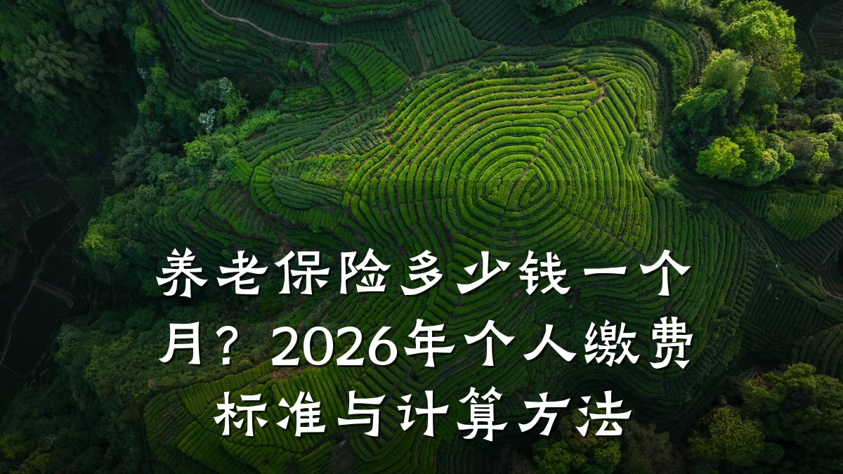 养老保险多少钱一个月?2026年个人缴费标准与计算方法