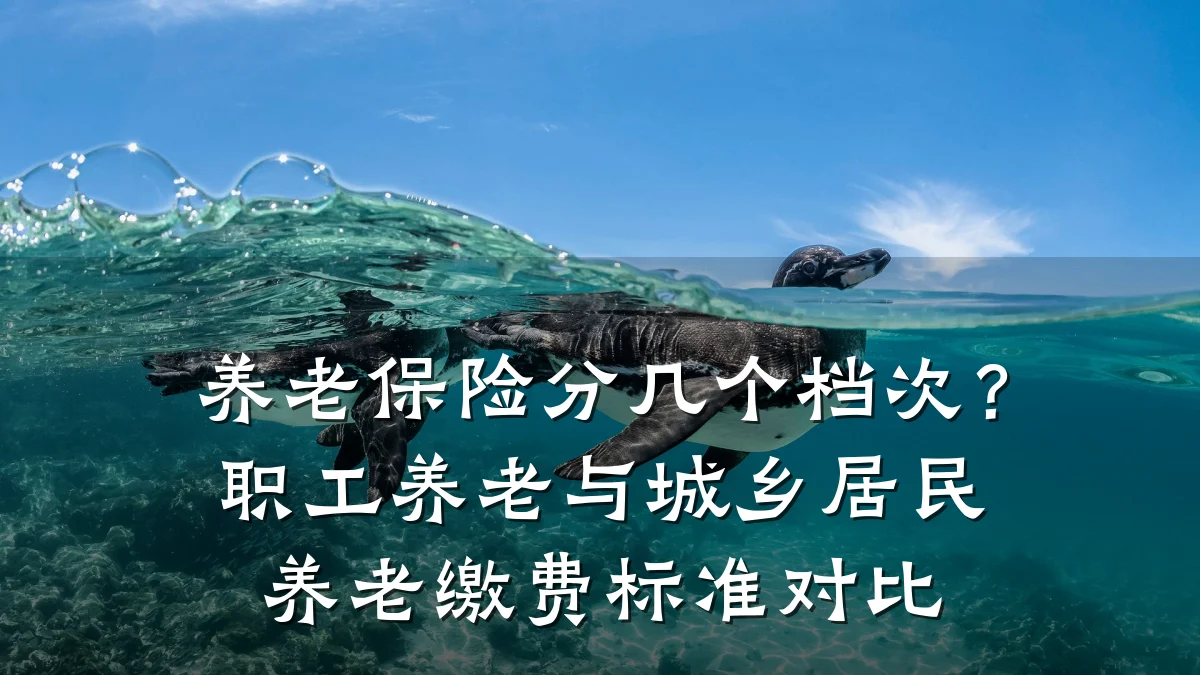 养老保险分几个档次?职工养老与城乡居民养老缴费标准对比