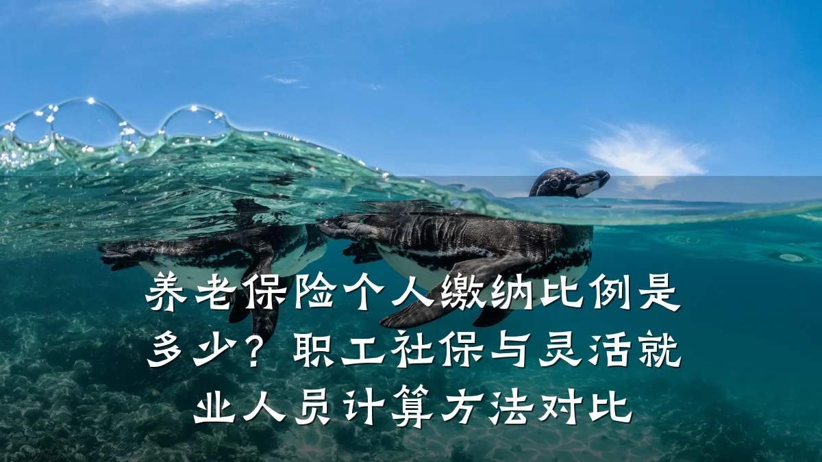 养老保险个人缴纳比例是多少？职工社保与灵活就业人员计算方法对比