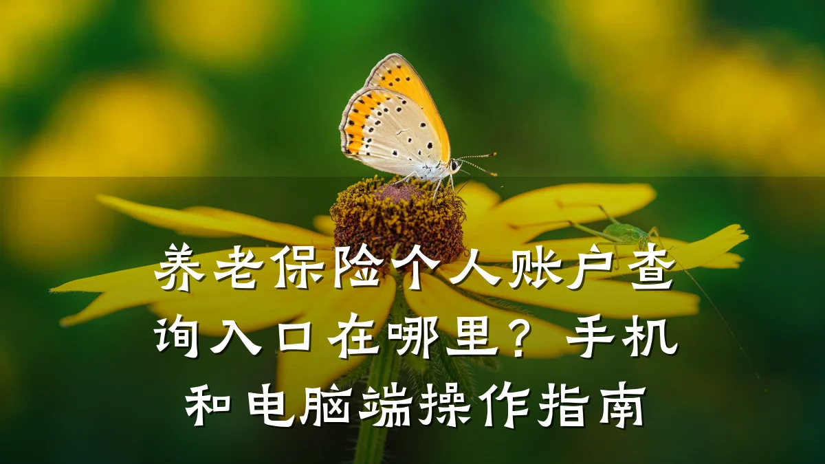 养老保险个人账户查询入口在哪里?手机和电脑端操作指南