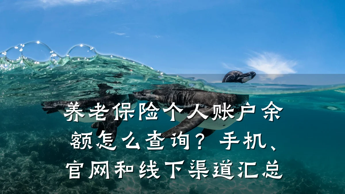 养老保险个人账户余额怎么查询?手机、官网和线下渠道汇总