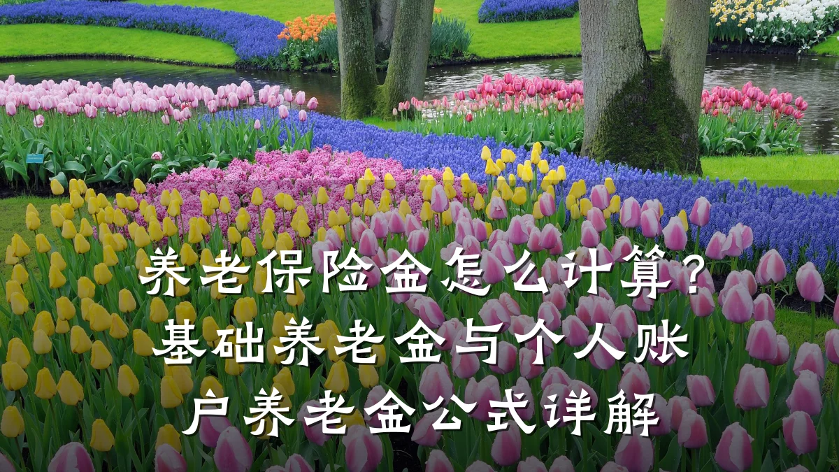 养老保险金怎么计算？基础养老金与个人账户养老金公式详解