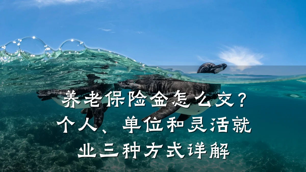 养老保险金怎么交?个人、单位和灵活就业三种方式详解
