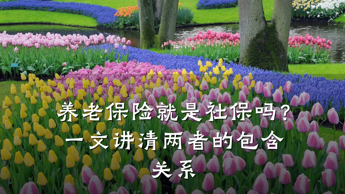 养老保险就是社保吗?一文讲清两者的包含关系