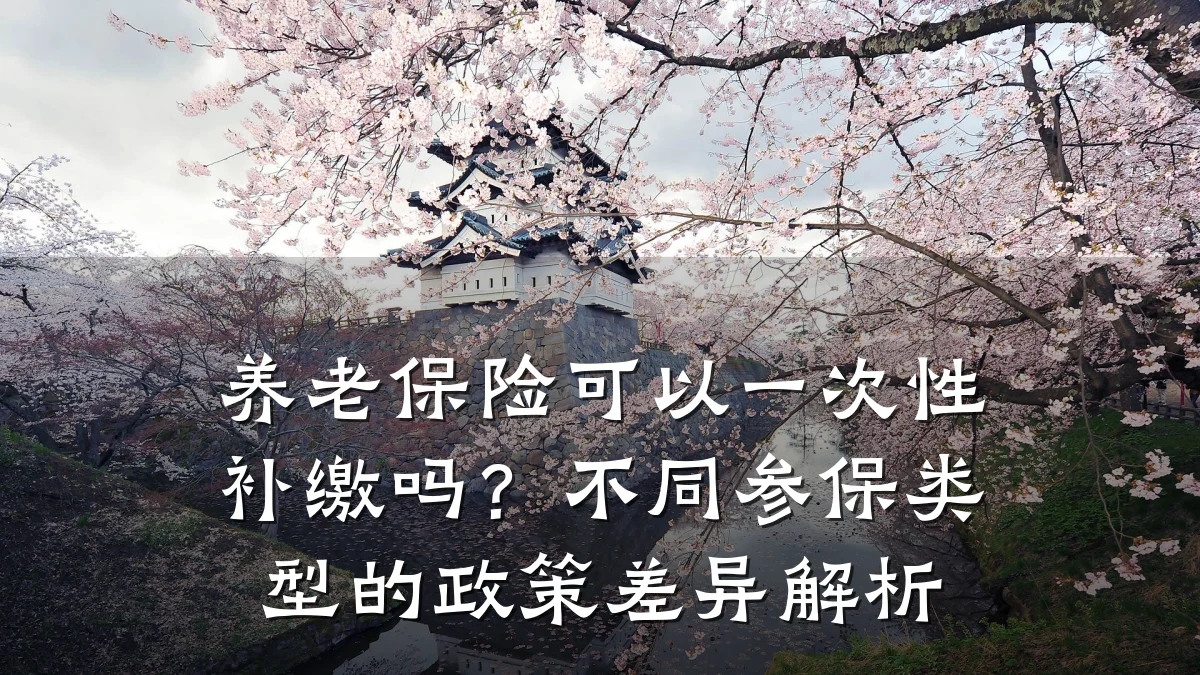 养老保险可以一次性补缴吗？不同参保类型的政策差异解析
