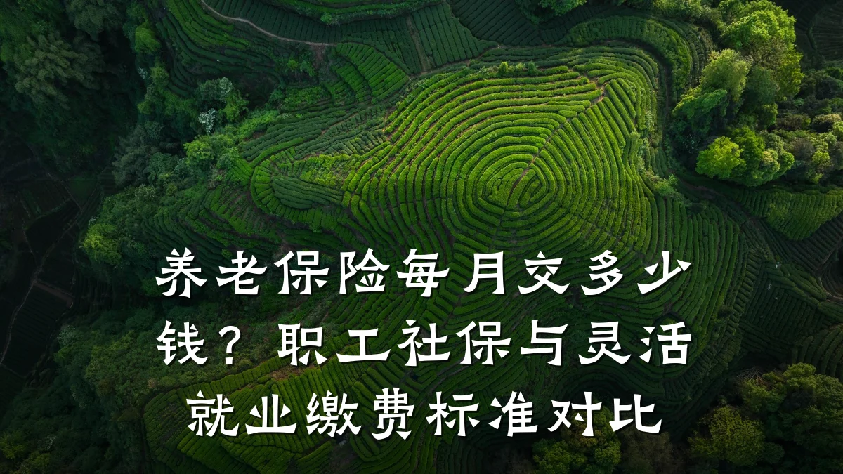 养老保险每月交多少钱？职工社保与灵活就业缴费标准对比
