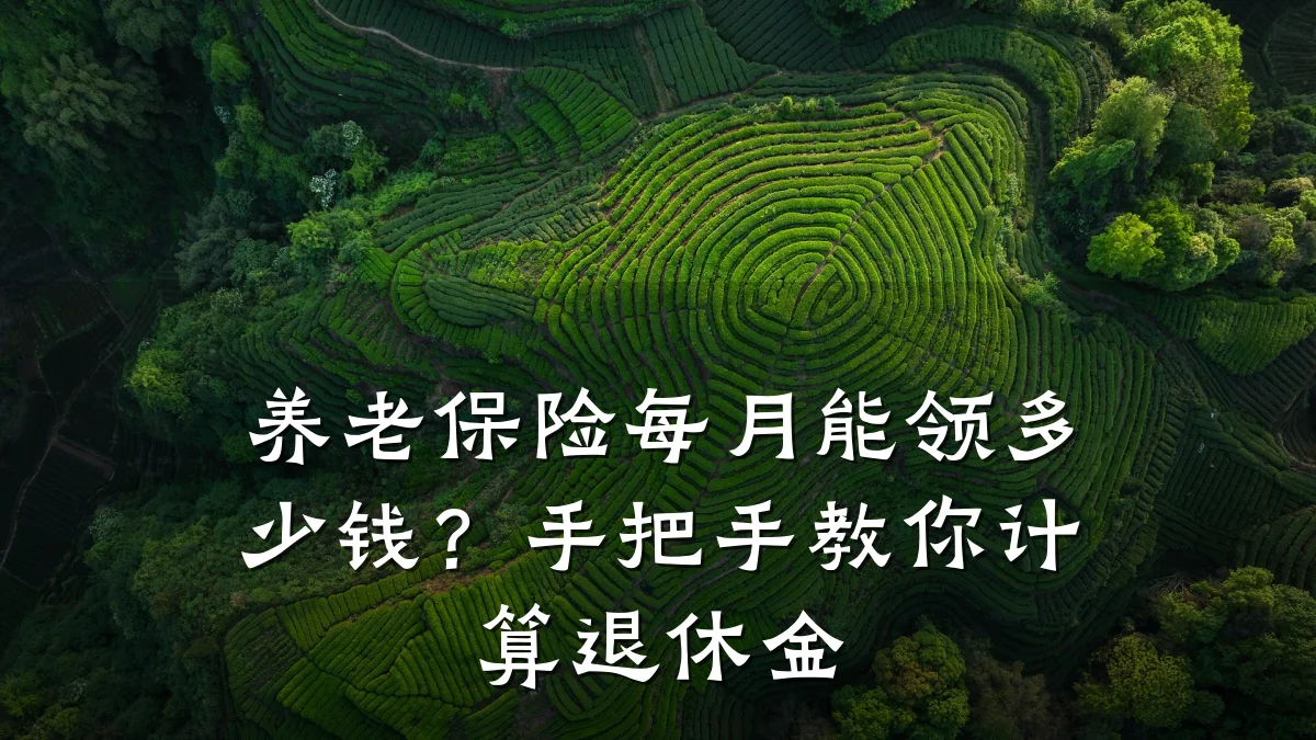 养老保险每月能领多少钱?手把手教你计算退休金