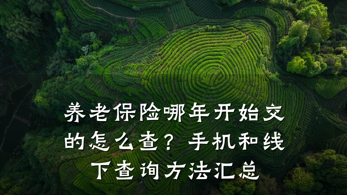 养老保险哪年开始交的怎么查?手机和线下查询方法汇总
