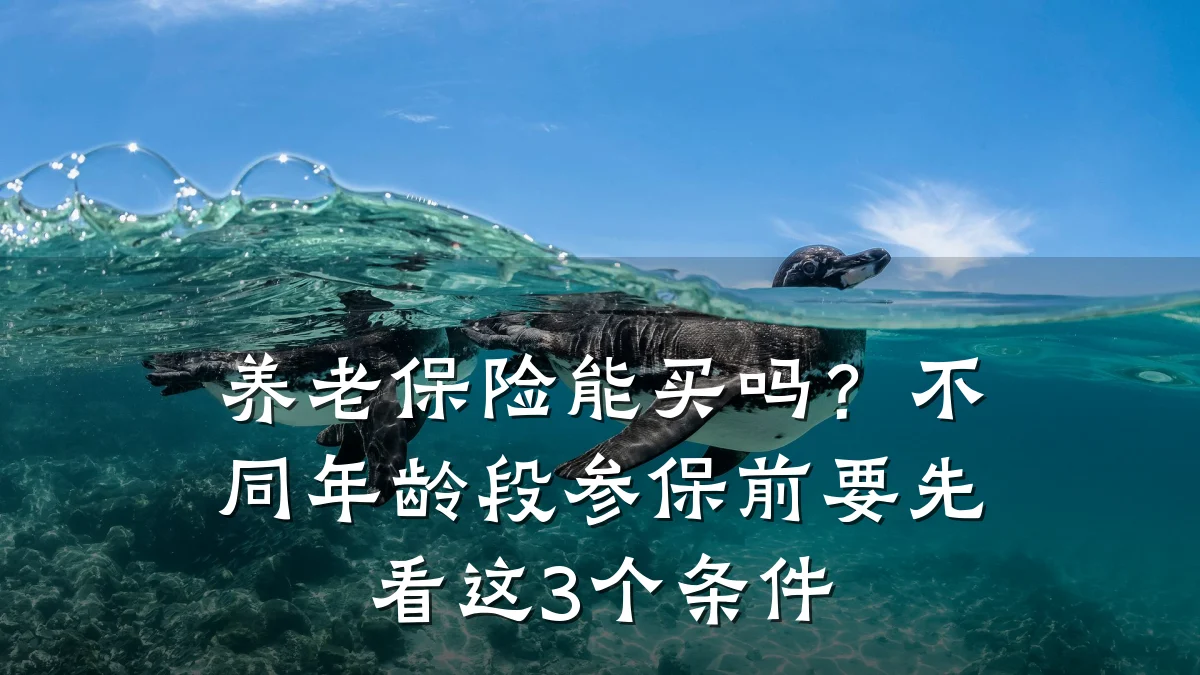 养老保险能买吗?不同年龄段参保前要先看这3个条件
