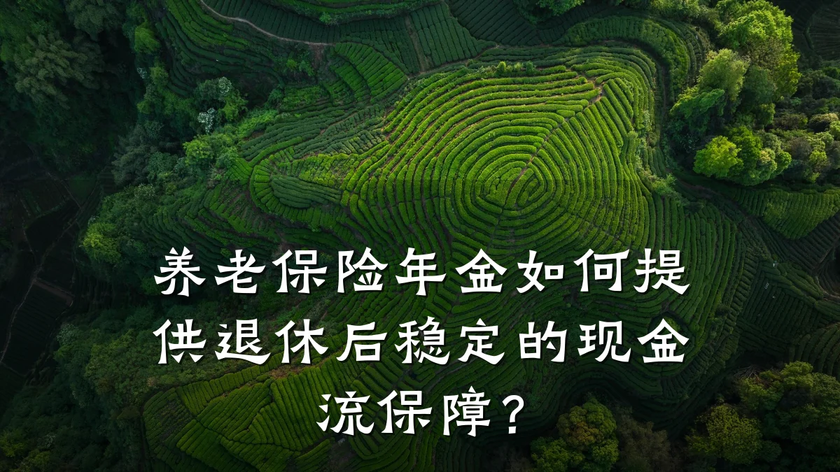 养老保险年金如何提供退休后稳定的现金流保障?