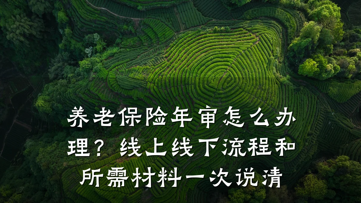养老保险年审怎么办理?线上线下流程和所需材料一次说清