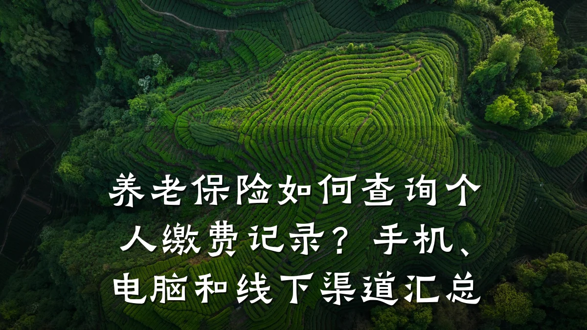 养老保险如何查询个人缴费记录?手机、电脑和线下渠道汇总