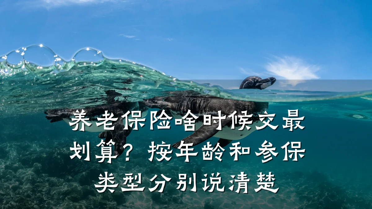 养老保险啥时候交最划算？按年龄和参保类型分别说清楚