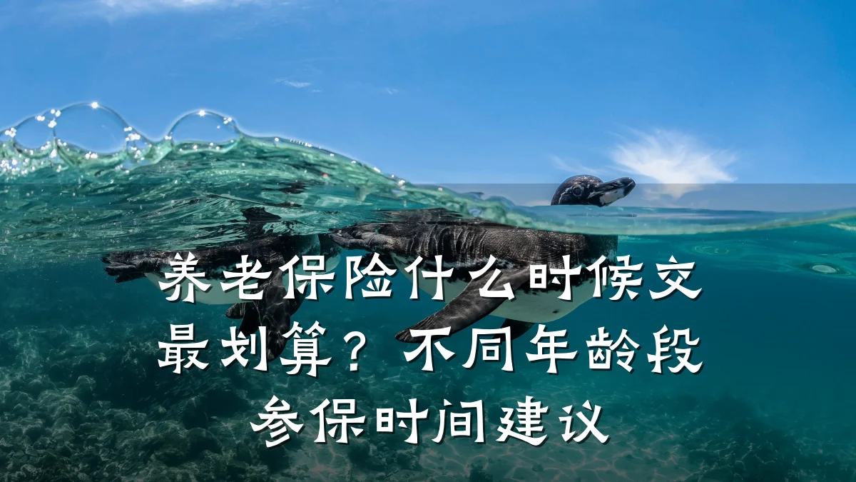养老保险什么时候交最划算?不同年龄段参保时间建议