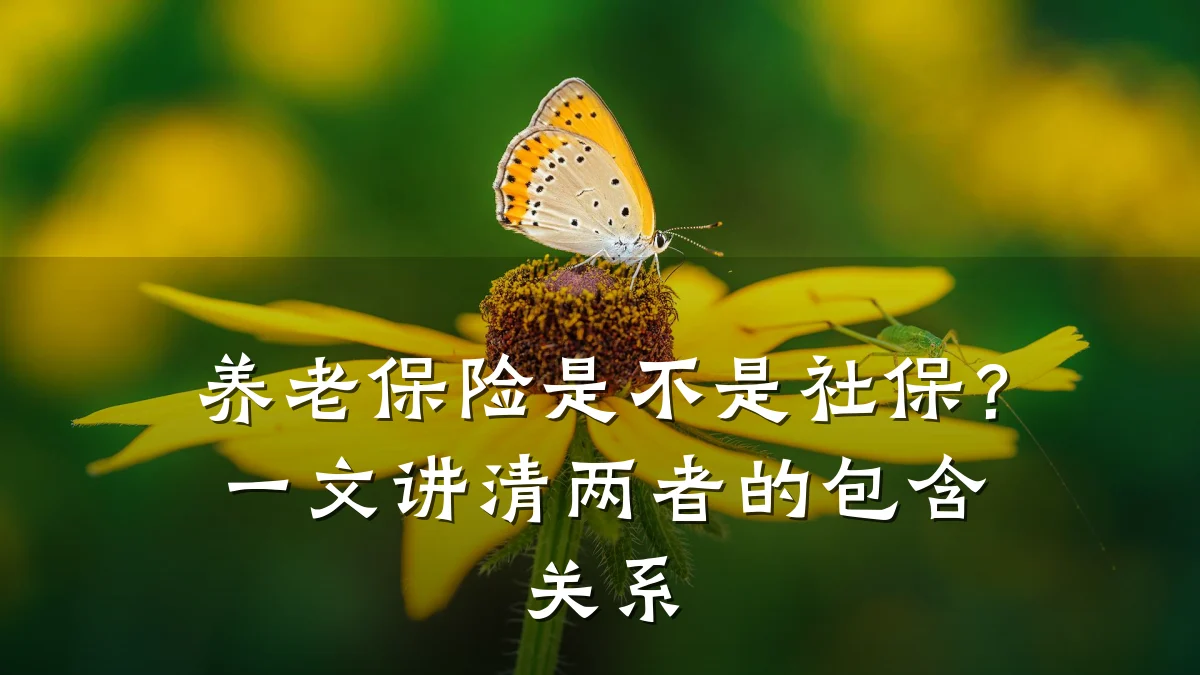 养老保险是不是社保?一文讲清两者的包含关系