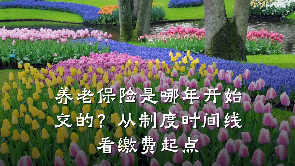 养老保险是哪年开始交的？从制度时间线看缴费起点