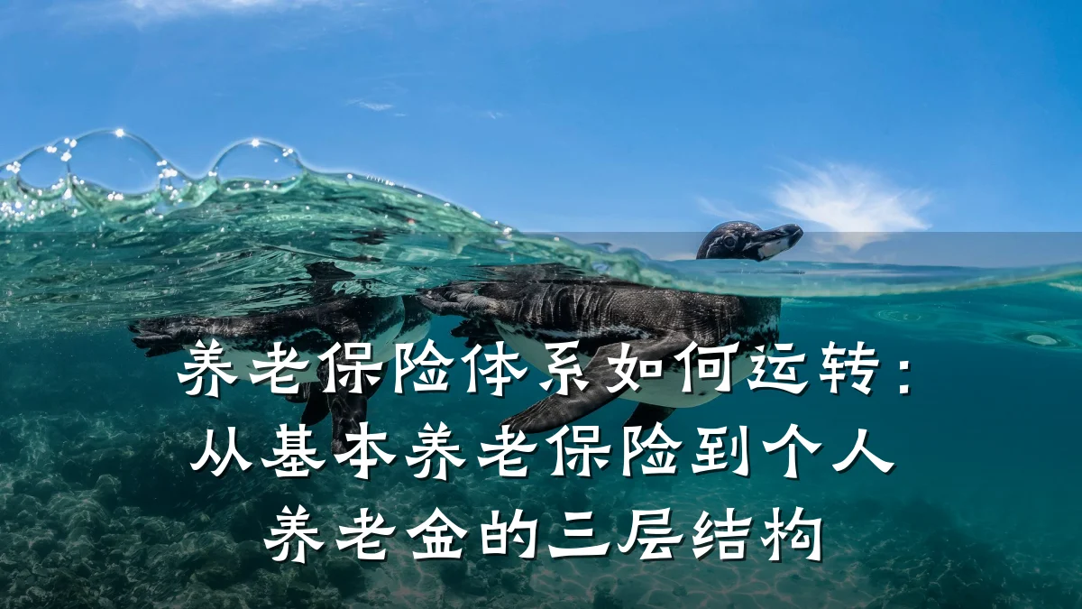 养老保险体系如何运转:从基本养老保险到个人养老金的三层结构