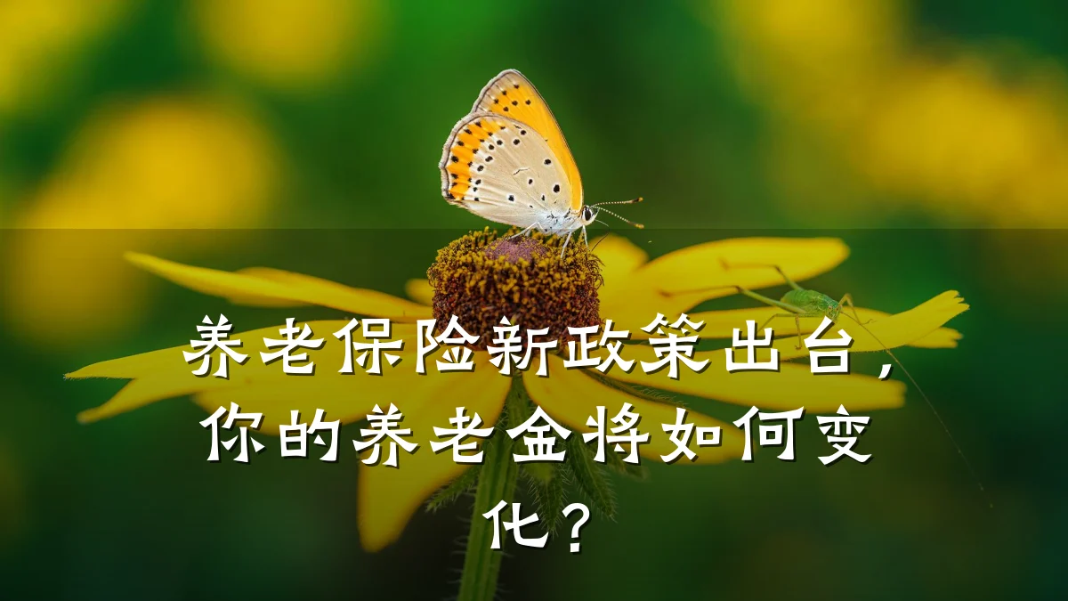 养老保险新政策出台,你的养老金将如何变化?
