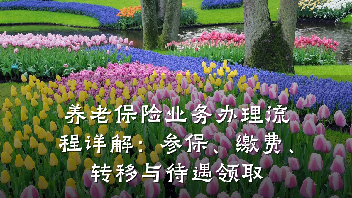 养老保险业务办理流程详解：参保、缴费、转移与待遇领取