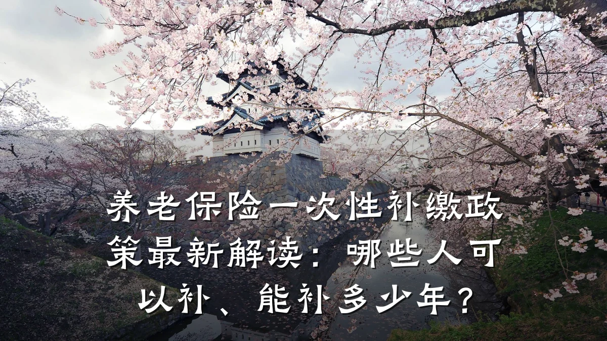 养老保险一次性补缴政策最新解读:哪些人可以补、能补多少年?