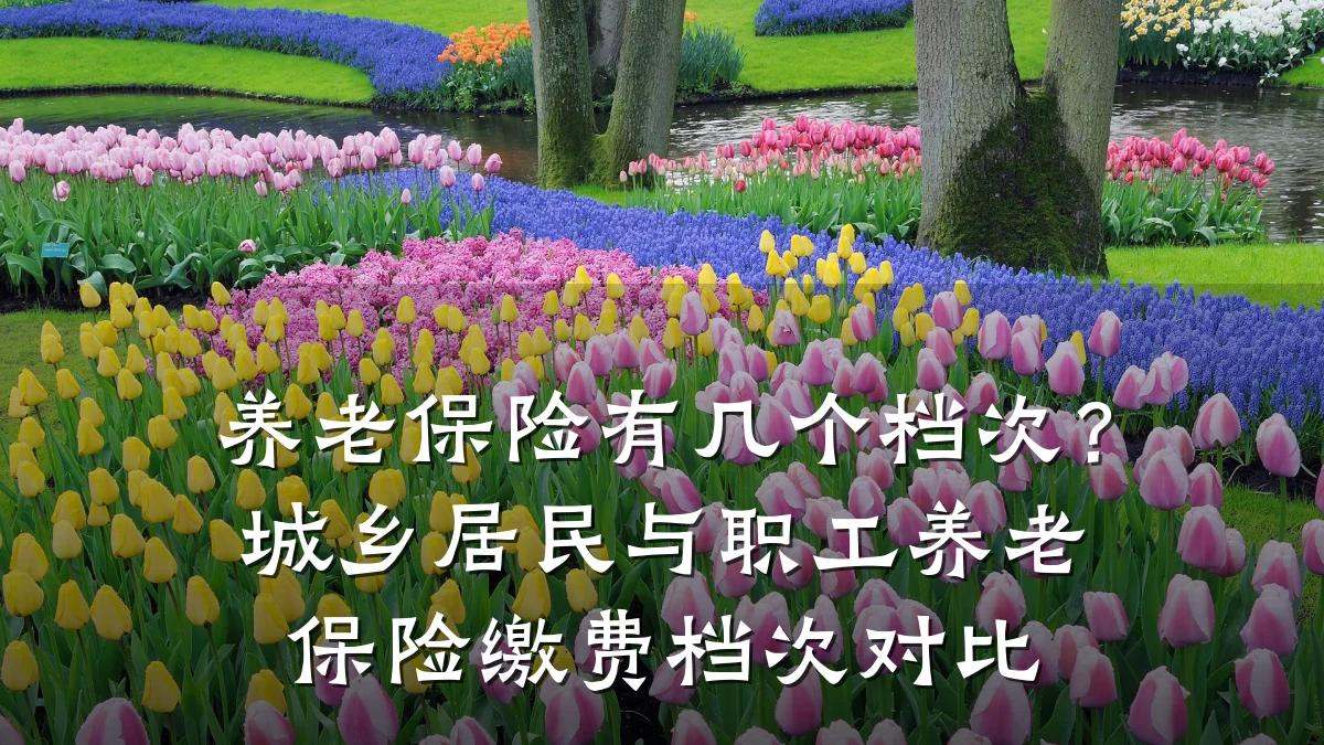 养老保险有几个档次?城乡居民与职工养老保险缴费档次对比