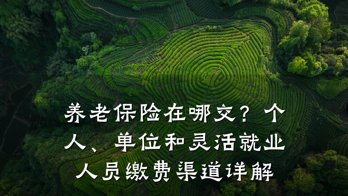 养老保险在哪交？个人、单位和灵活就业人员缴费渠道详解