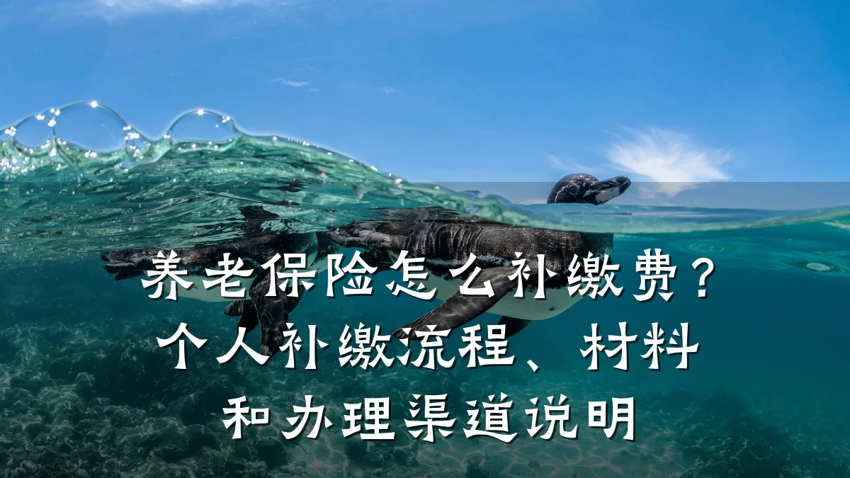 养老保险怎么补缴费?个人补缴流程、材料和办理渠道说明