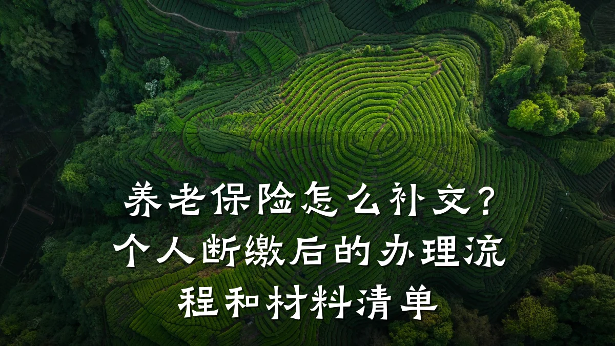养老保险怎么补交？个人断缴后的办理流程和材料清单