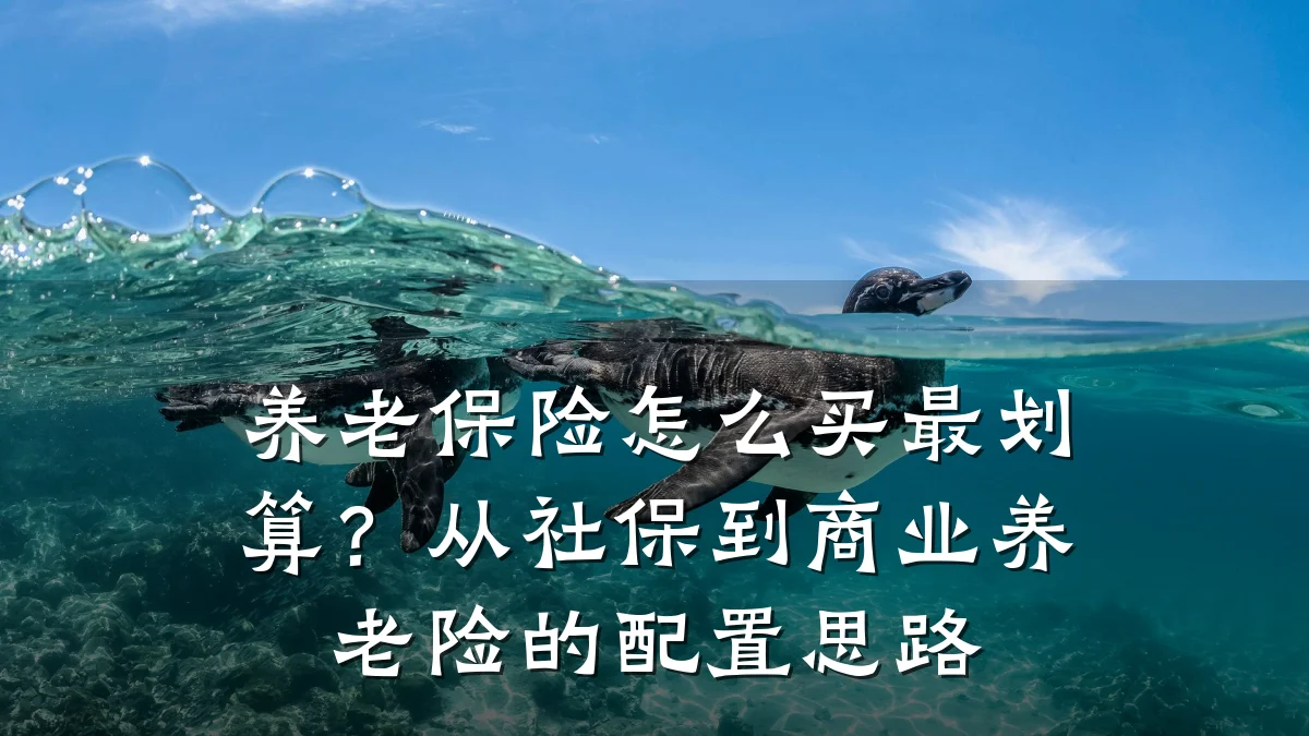养老保险怎么买最划算?从社保到商业养老险的配置思路