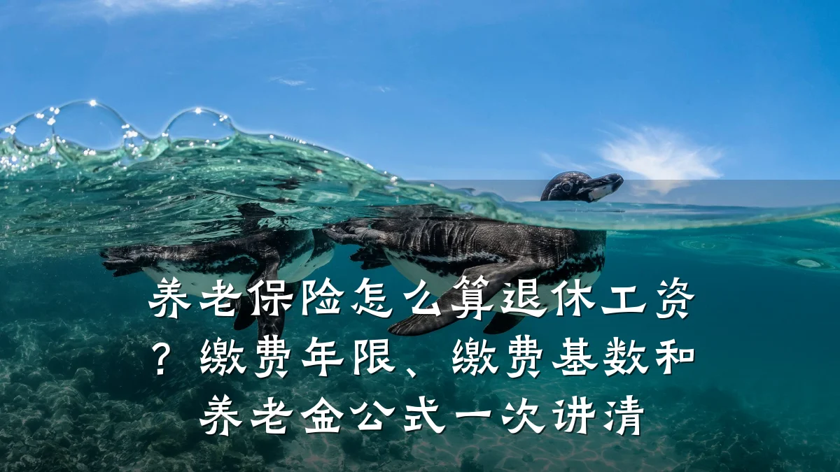 养老保险怎么算退休工资？缴费年限、缴费基数和养老金公式一次讲清