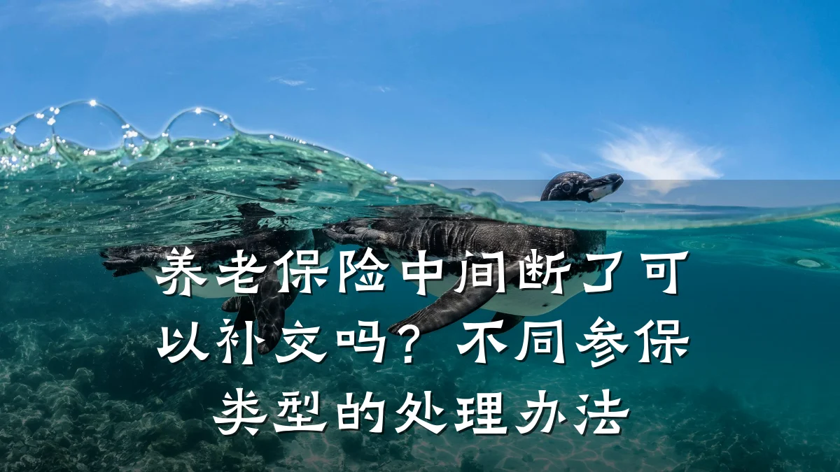 养老保险中间断了可以补交吗？不同参保类型的处理办法