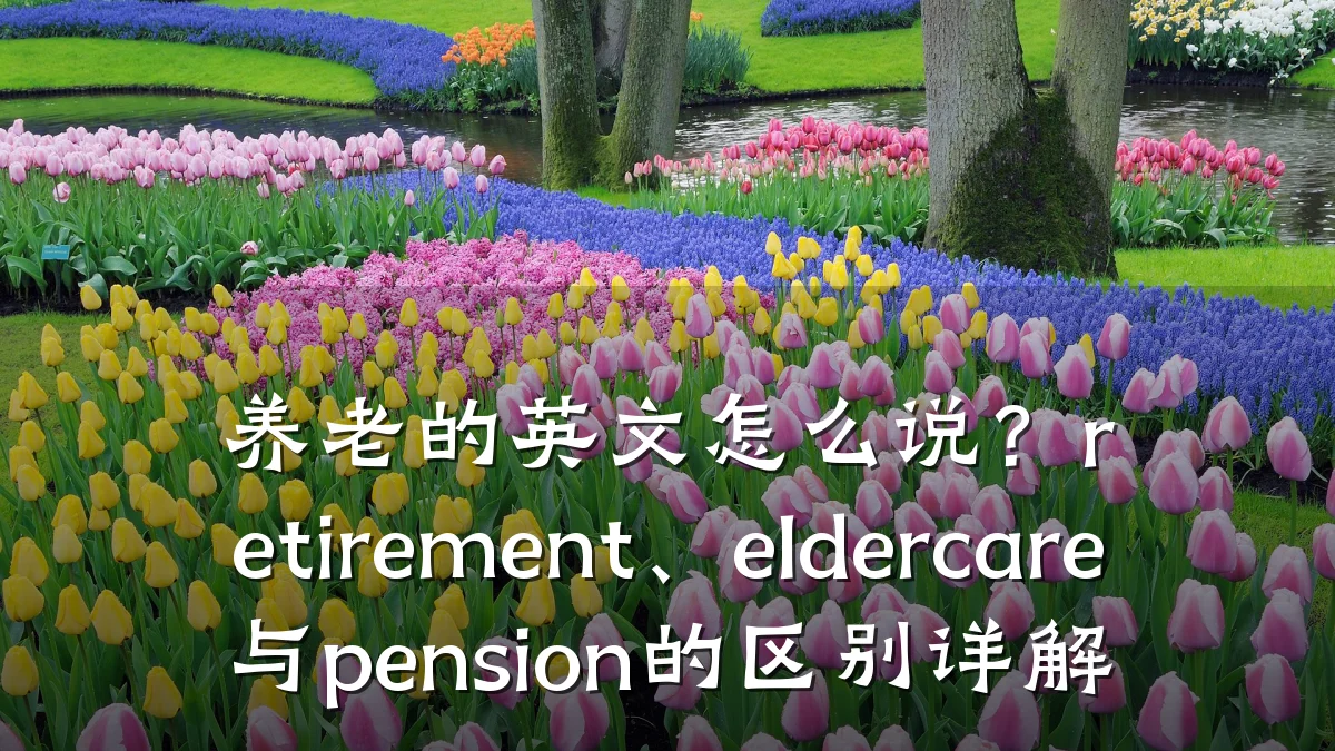 养老的英文怎么说?retirement、eldercare与pension的区别详解
