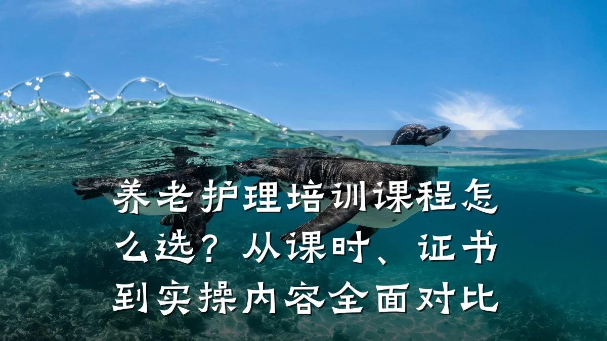 养老护理培训课程怎么选?从课时、证书到实操内容全面对比