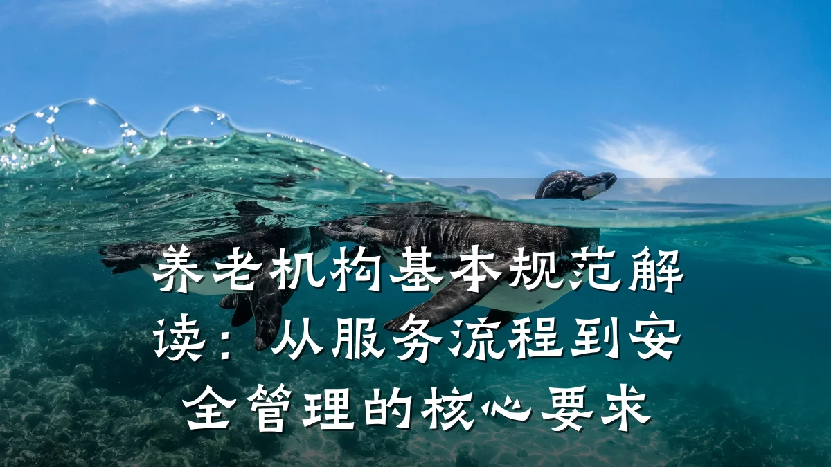 养老机构基本规范解读:从服务流程到安全管理的核心要求