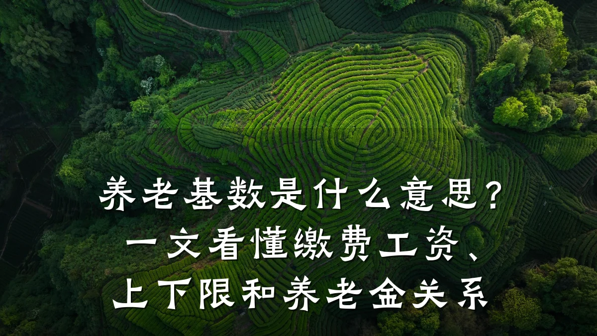 养老基数是什么意思?一文看懂缴费工资、上下限和养老金关系