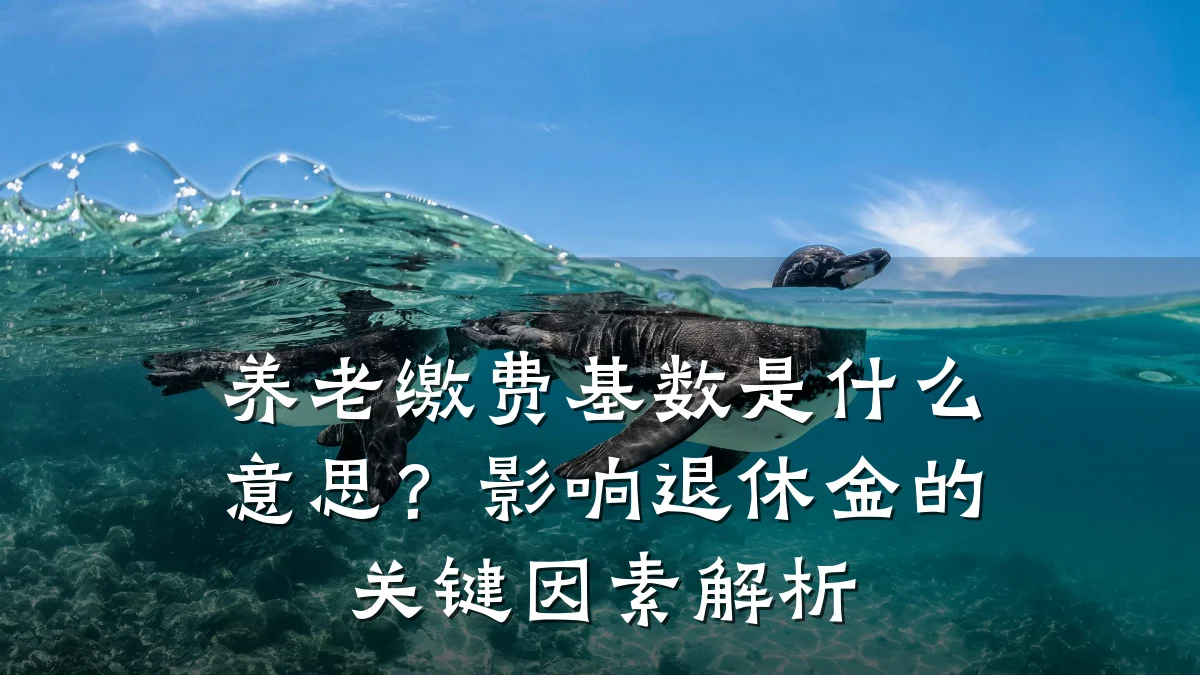 养老缴费基数是什么意思?影响退休金的关键因素解析