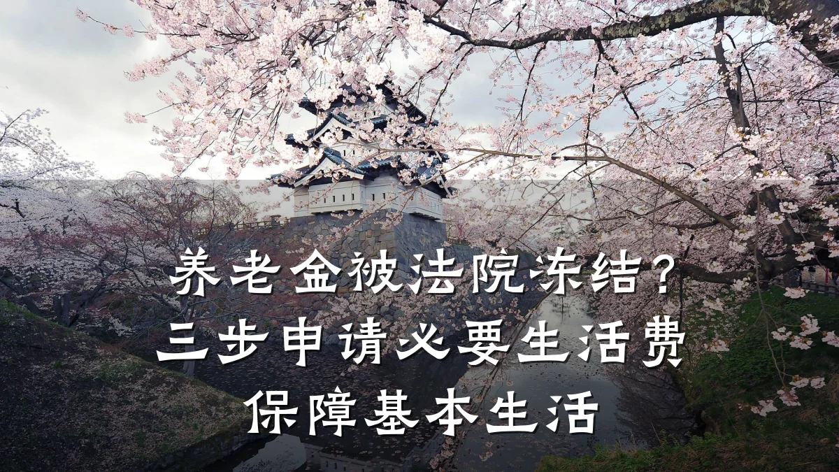 养老金被法院冻结?三步申请必要生活费保障基本生活