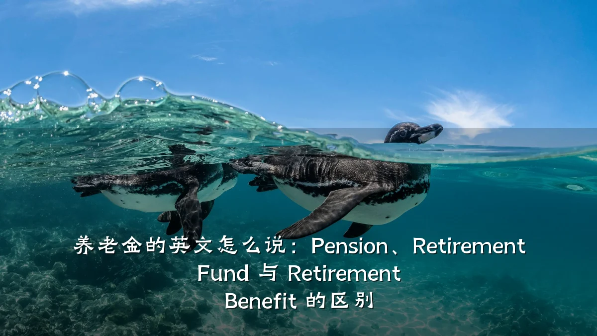 养老金的英文怎么说:Pension、Retirement Fund 与 Retirement Benefit 的区别