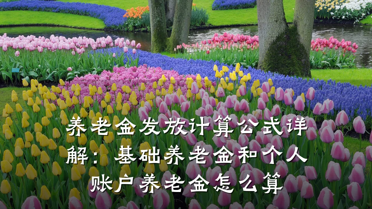 养老金发放计算公式详解:基础养老金和个人账户养老金怎么算