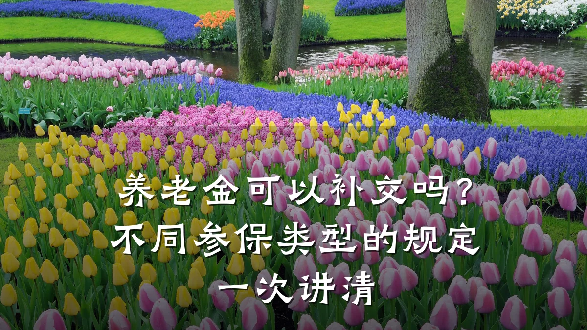 养老金可以补交吗?不同参保类型的规定一次讲清
